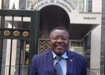 Cameroun – Me Jean De Dieu Momo : “la démocratie est une diversion pour les pays africains”