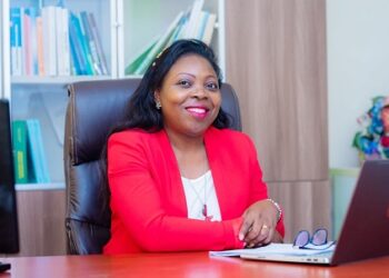 Premières analyses de la stratégie nationale du développement du Cameroun (2020-2030)