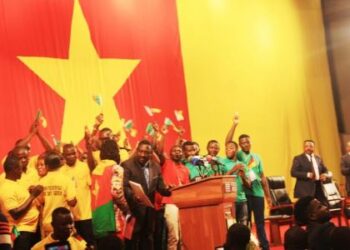 Paix au Cameroun : Succès garanti des opérations de désarmement et réinsertion