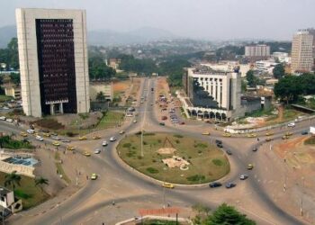 Éditorial : Dr Raoul Patrick Nougoum « les causes systémiques du Sous-développement « 