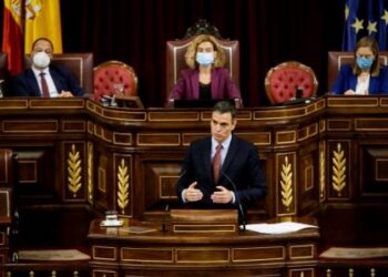 Espagne : le Parlement vote un projet de loi légalisant les actes sexuels avec des animaux