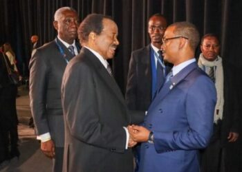 Cameroun : ce que cache la crise diplomatique avec le Tchad