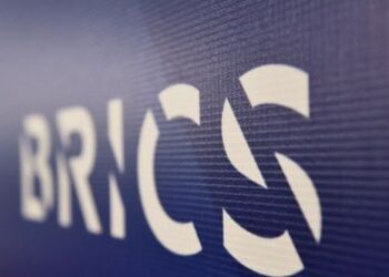 « Les BRICS ne concernent pas que l’Afrique du Sud. Il s’agit de l’Afrique »