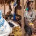 La faim augmente pour la quatrième année consécutive et touche désormais plus de 250 millions de personnes