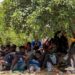 HRW appelle le gouvernement tunisien à mettre fin aux expulsions collectives de migrants vers le désert
