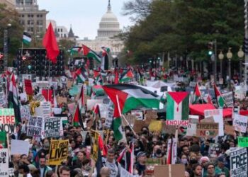 Afrique du Sud: le Parlement adopte une motion pour fermer l’ambassade d’Israël