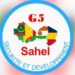 La Mauritanie et le Tchad évoquent une éventuelle dissolution du G5 Sahel