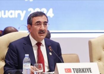 La Turquie œuvre afin de mettre fin aux tensions dans les pays africains