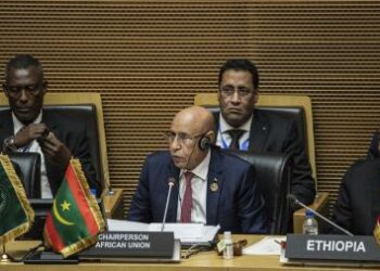 Sommet de l&rsquo;Union africaine : le dialogue continue