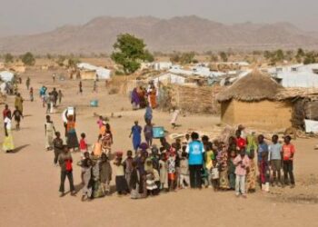 Au Cameroun, le camp de réfugiés de Minawao est totalement saturé