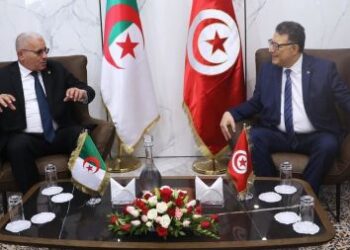 «Brutale machine de guerre soutenue par l’Occident» : la charge commune de Tunis et Alger contre Israël