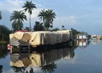 Inondations au Sahel: déjà près de 600 morts
