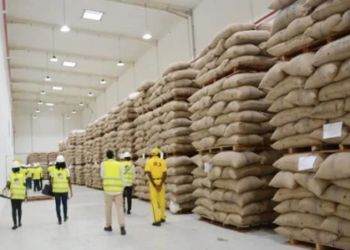 Cacao: Le Cameroun grimpe au 4e rang mondial