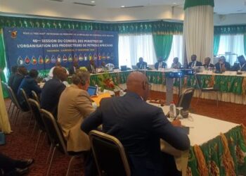 Le Cameroun accueille la 46e session du Conseil des ministres de l’APPO pour lancer la Banque Africaine d’Énergie