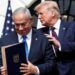 Donald Trump veut prendre « possession » de la bande de Gaza dévastée