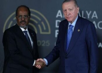 La Turquie cherche à renforcer son ancrage sur le continent africain