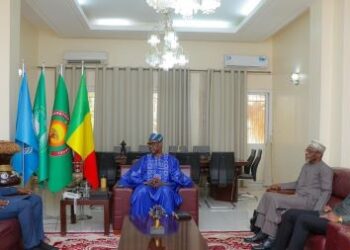 Mali : premiers échanges directs entre la Cédéao et l’AES