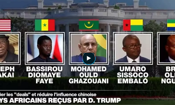 Un mini-sommet entre Donald Trump et cinq dirigeants africains se tient à Washington (9 au 11 juillet)