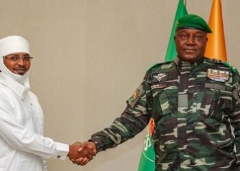 Le Niger et le Tchad décident d’élargir leurs domaines de coopération