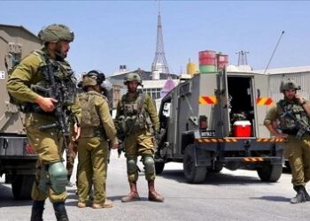 L’armée israélienne interdit l’accès des voitures chinoises à ses bases