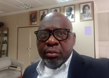 Émergence 2035 : Il reste 10 ans pour faire du Cameroun un nouveau pays Industrialisé