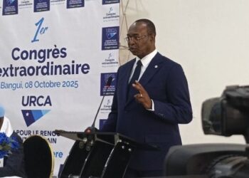 Centrafrique: neuf noms enregistrés à la clôture des candidatures pour la présidentielle du 28 décembre