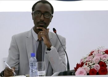 Le chef de la diplomatie éthiopienne alerte sur les « agissements prédateurs » extérieurs et appelle à l’unité africaine
