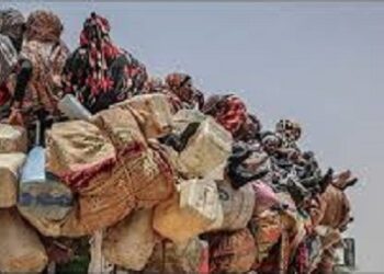 Tchad : relocalisation urgente de réfugiés à la frontière soudanaise