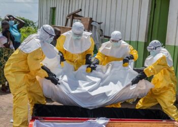 Dix pays africains touchés par le virus Ebola