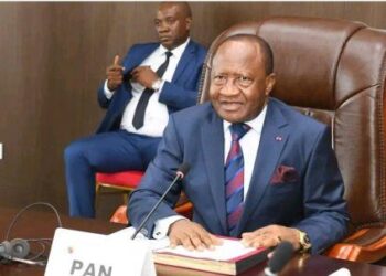Cameroun | Assemblée nationale: Pourquoi le PAN refuse une commission d’enquête sur les mines et le foncier ?