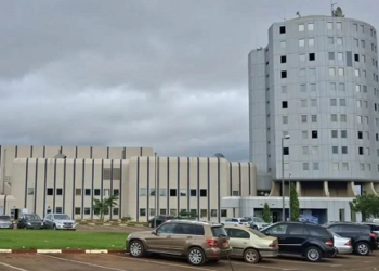 Coup d&rsquo;État institutionnel au Cameroun : la nomination d&rsquo;un vice-président de la République échoue