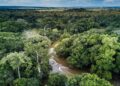 Le Cameroun relance un projet d&rsquo;inventaire de son patrimoine forestier