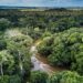 Le Cameroun relance un projet d&rsquo;inventaire de son patrimoine forestier