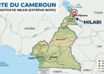 Cameroun: neuf civils tués dans une attaque attribuée à Boko Haram dans l’Extrême-Nord