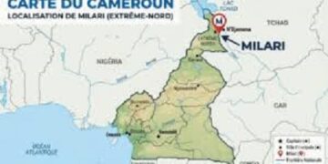Cameroun: neuf civils tués dans une attaque attribuée à Boko Haram dans l’Extrême-Nord