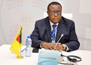Cameroun: «Le président est en vie… Il n&rsquo;y a aucune vacance du pouvoir !»