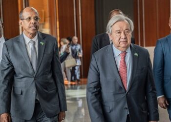 L’Afrique relance sa bataille pour des sièges permanents au Conseil de sécurité : Washington oppose son veto au droit de veto