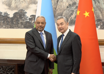 La Chine et Djibouti appellent à préserver la mer Rouge des tensions régionales